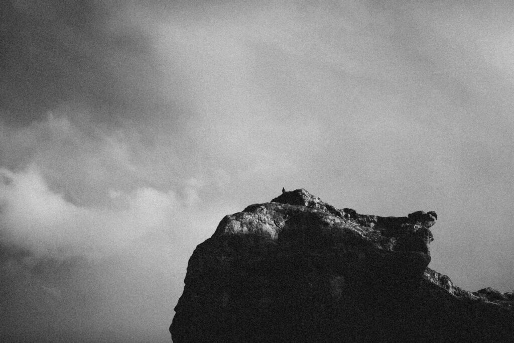 pexels-photo-9817431